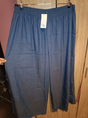 Brand new plus size pants