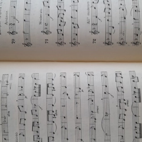 Solfege Book Kalomoiri - Oikonomidi Volume 2 like new