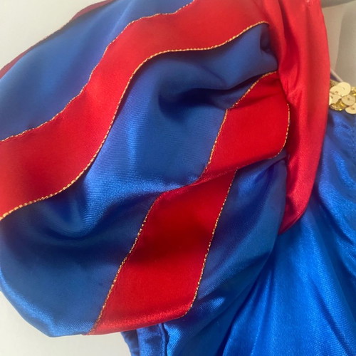 Snow White Costume from Disneyland worn once