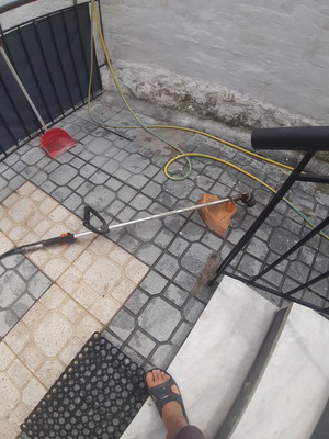 Brush cutter 520