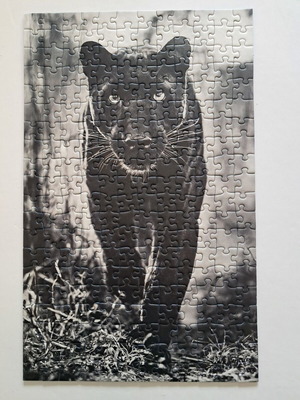 Panther puzzle 240 pieces like new, Ravensburger