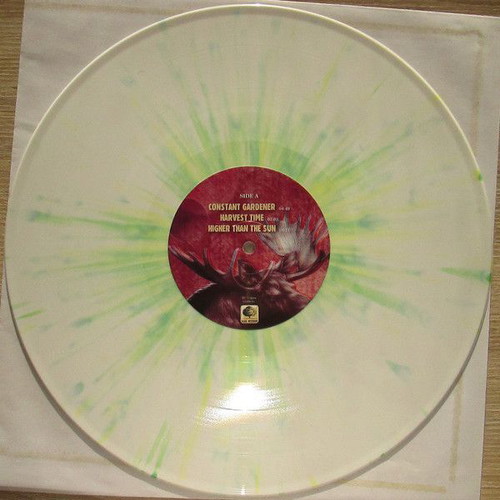Permanent Clear Light Beyond These Things 2015 mint, rock