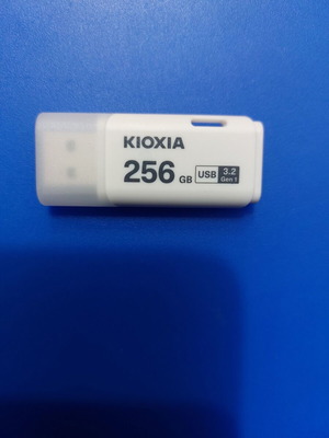 KIOXIA 256GB USB flash drive new, USB 3.2 Gen 1