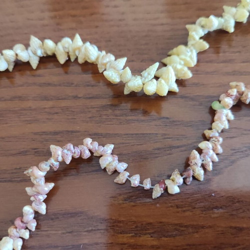 Sea shell jewelry set used, handmade, beige