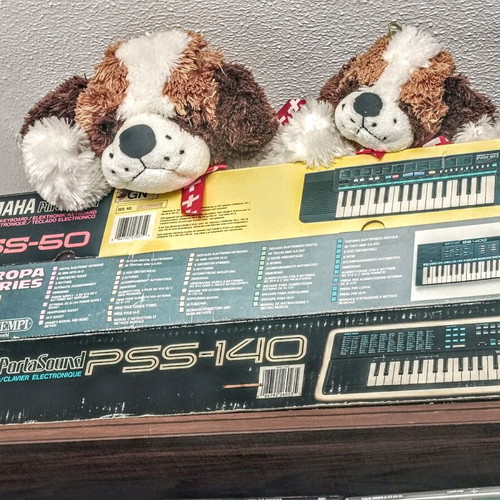Bontempi ES 4100 harmonium like new