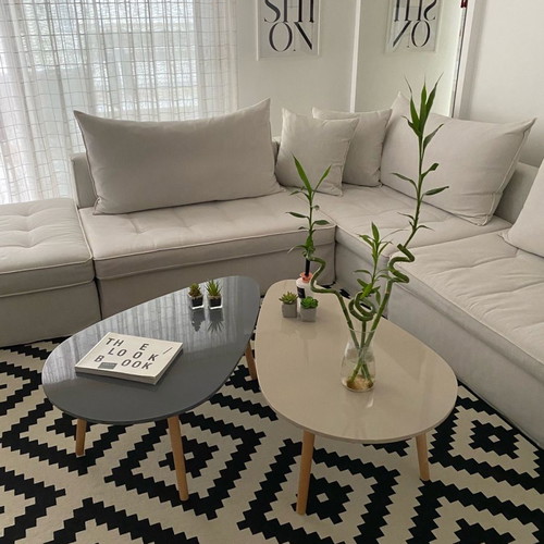 Coffee table set new in gray and ecru color