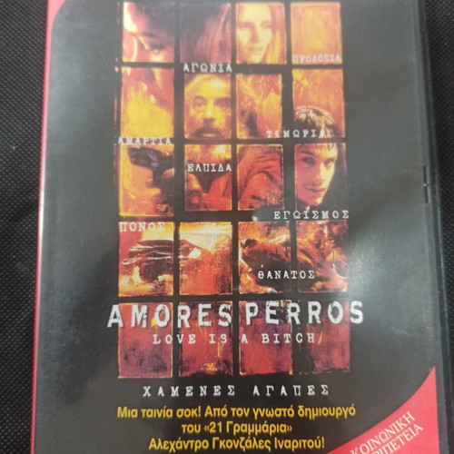 Amores Perros DVD like new with subtitles