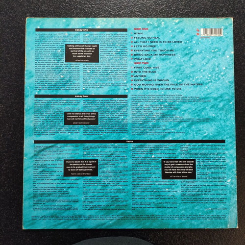 Moby Everything Is Wrong LP used, UK pressing 1995