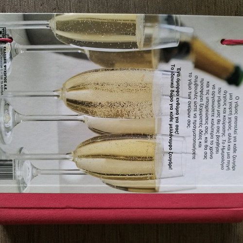 Wedding diary book like new