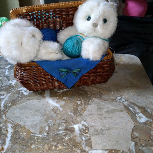 Basket with kittens new