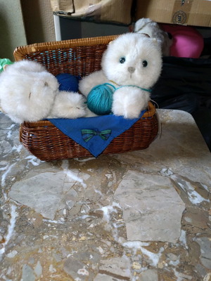 Basket with kittens new