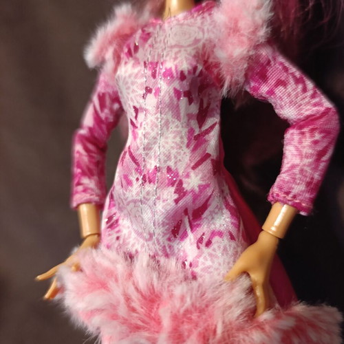 Κούκλα Mattel Ever After High Briar Beauty Epic Winter σαν καινούργιο με πολλά δώρα