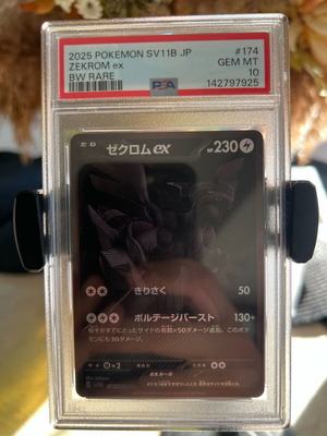 Zekrom PSA 10 collectible Pokémon card like new