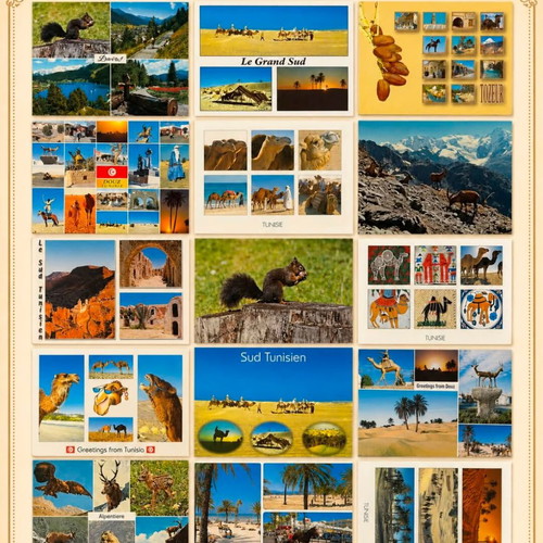 Vintage postcard set of 15 travel collectibles