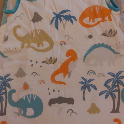 Baby sleeping bag with dinosaurs used, size 12–18 months