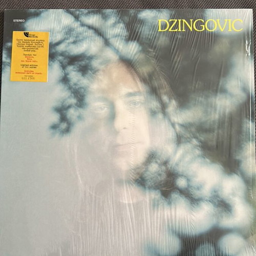 Dzingovic vinyl used, rock