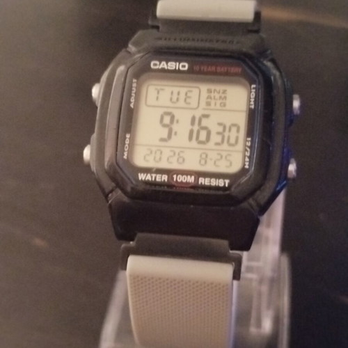 Casio W800H watch with two straps, grey and black