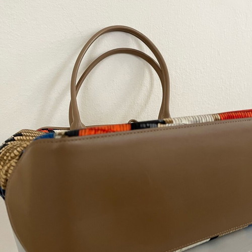 Longchamp Roseau collectible shoulder bag multicolor new