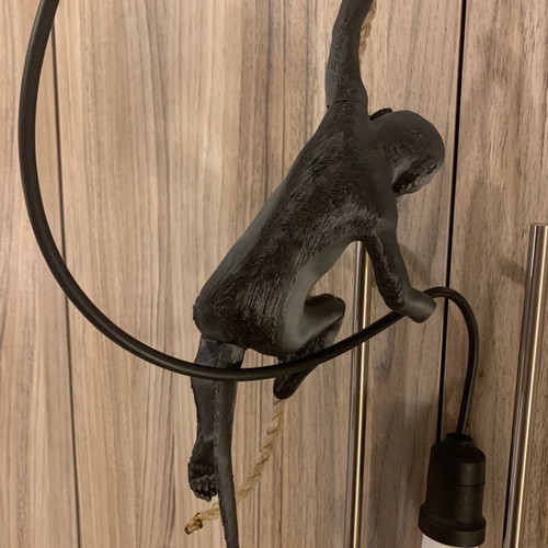 Ceiling light Monkey with lamp new 3D print