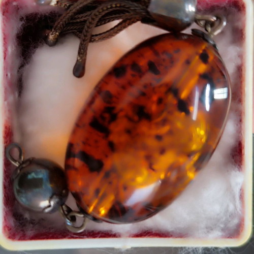 Authentic amber with fossils inside new