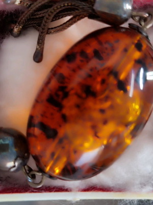 Authentic amber with fossils inside new