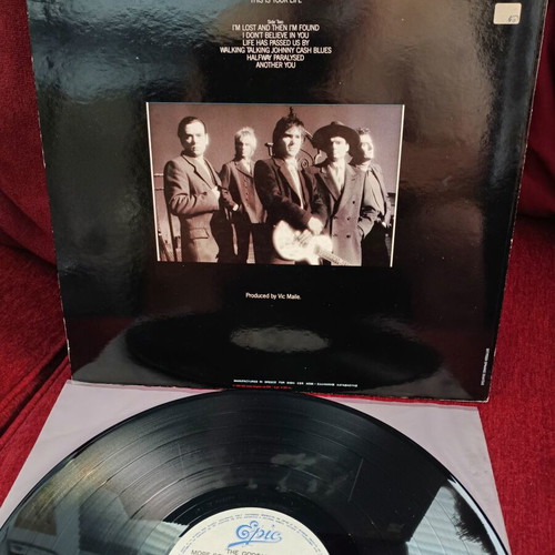 The Godfathers More Songs About Love & Hate vinyl record used, rock