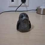 Decorative Seal New