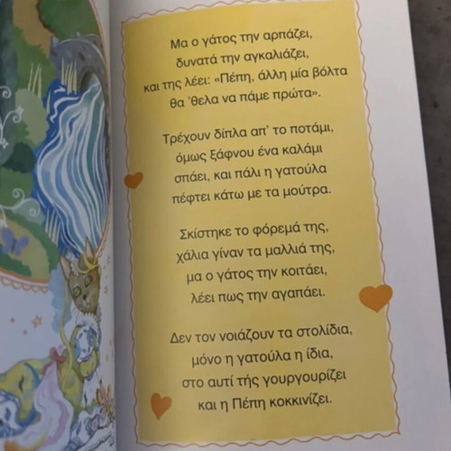 The Booted Cat children's illustrated book, like new