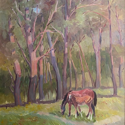 Oil painting by Alexandra Chalaris-Makotsi like new, 50x70 cm