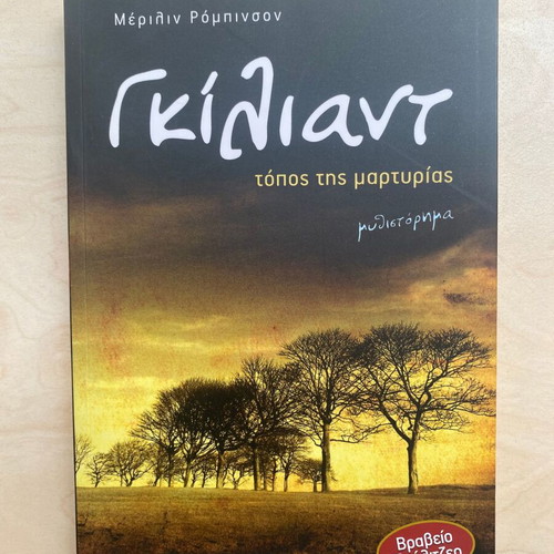 Giliant Place of Witness novel like new by Marilynne Robinson
