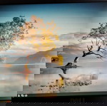  Dell Latitude D430