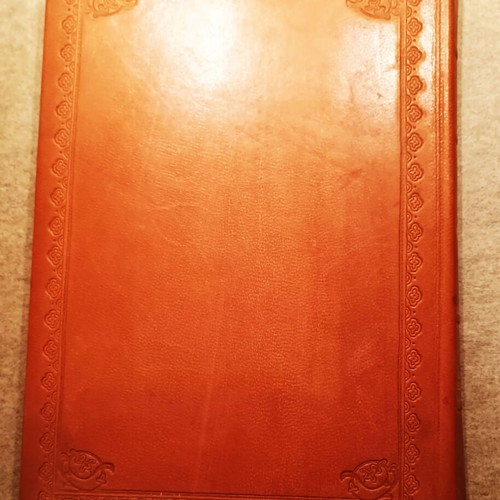 The Medical in Folk Song by G. Rigatos new, leather cover