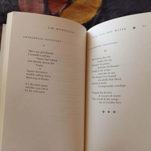 The Writings of Jim Morrison The American Night used poetry collection