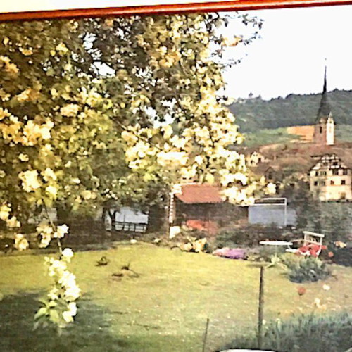 Puzzle painting 1000 pcs new with wooden frame and glass