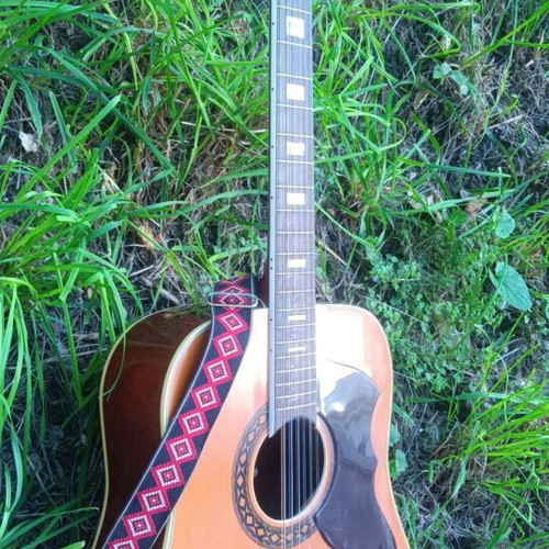 ECO Italia 12-String Guitar like new with decorated strap