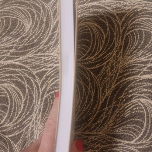 Afiloxenes Psyches book like new