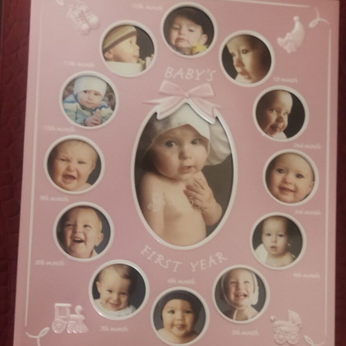 Baby's First Year Pink Metal Photo Frame Album