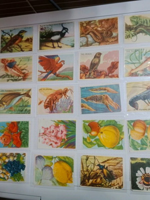 Collectible stickers used from Periodical Edition Gelio kai Chara, 54 pcs