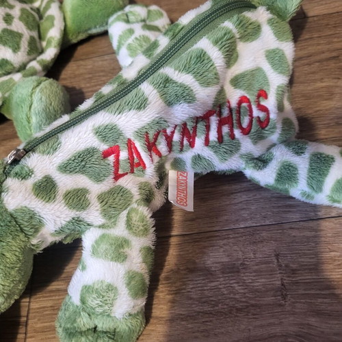 Plush turtles set of 2 like new, one is a case