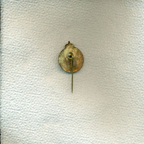 Military lapel pin used from the 1950s