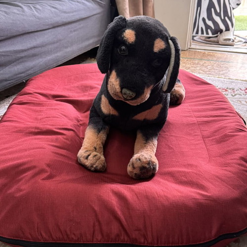 Dog Bed XXL red like new, soft and spacious for large dogs
