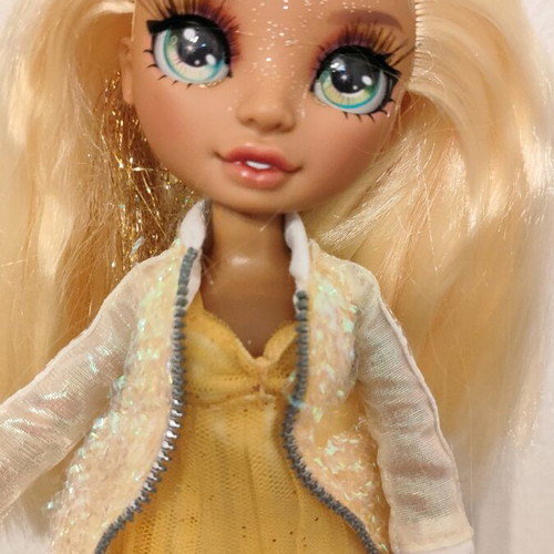 Rainbow High doll like new with pet, comb, and stand