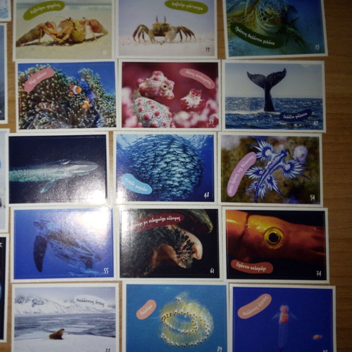 AB Vasilopoulos Exploring the Ocean sticker set with 39 stickers and 2 tattoos