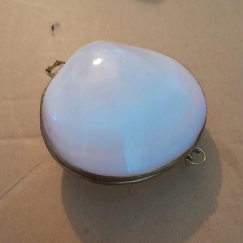 Shell box like new with brass details 8x7cm