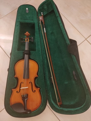 Violin used for student