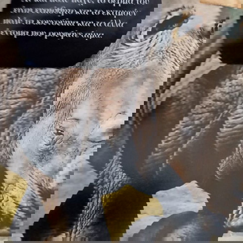 εγκυκλοπαιδια Τα ζώα της σαβάνας