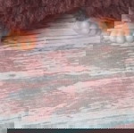  ΜΩΡΑΚΙ ΖΑΒΟΛΑΚΙ monchhichi