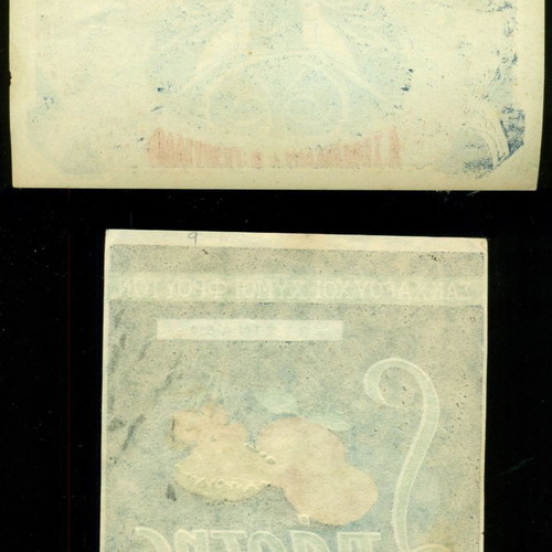 Old labels used from Iliopoulou Spartis and Seferiadou-Georgiadou companies