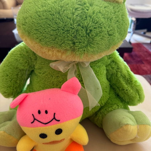 Stuffed toys used, pack of two (frog and duck)