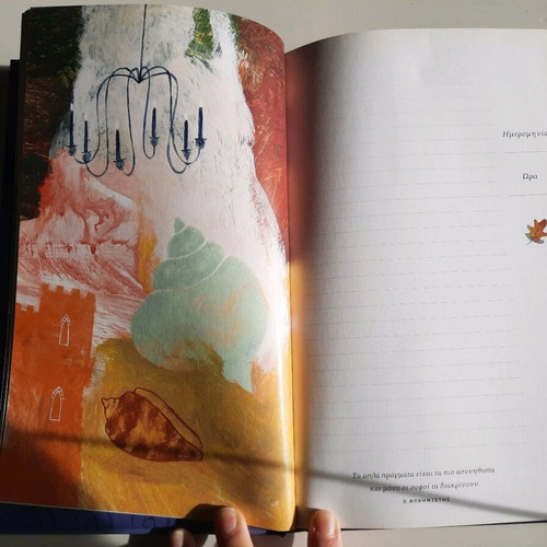Paulo Coelho diary like new with quotes and illustrations
